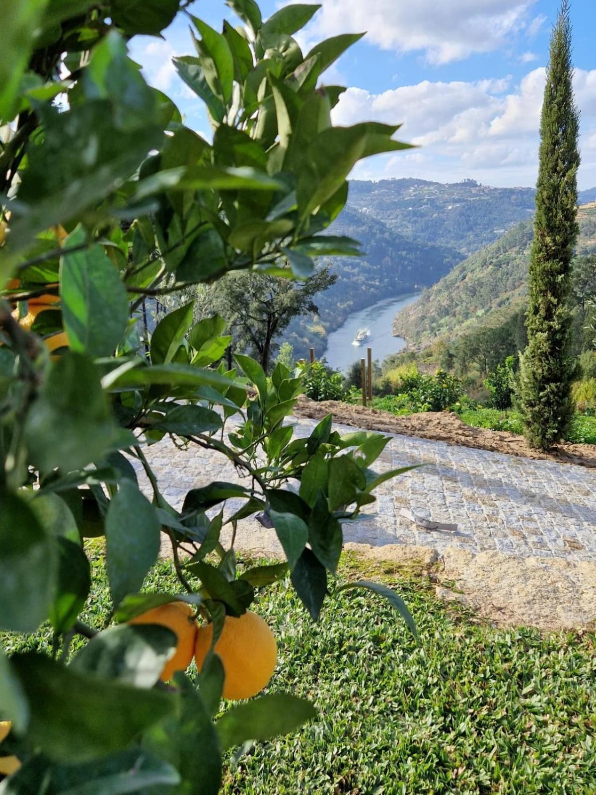 Javardo - Family House - Douro Penha Longa 外观 照片