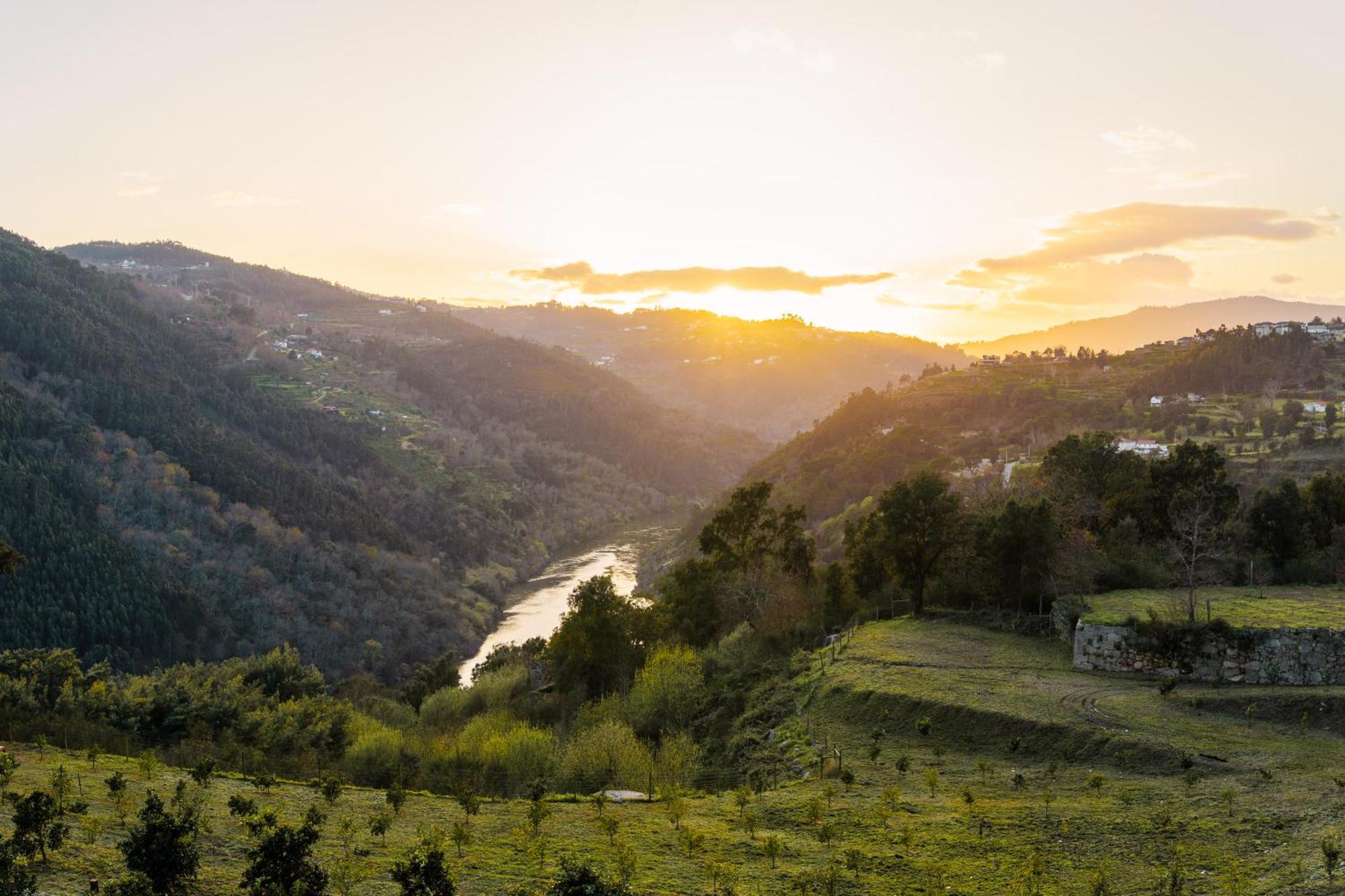Javardo - Family House - Douro Penha Longa 外观 照片