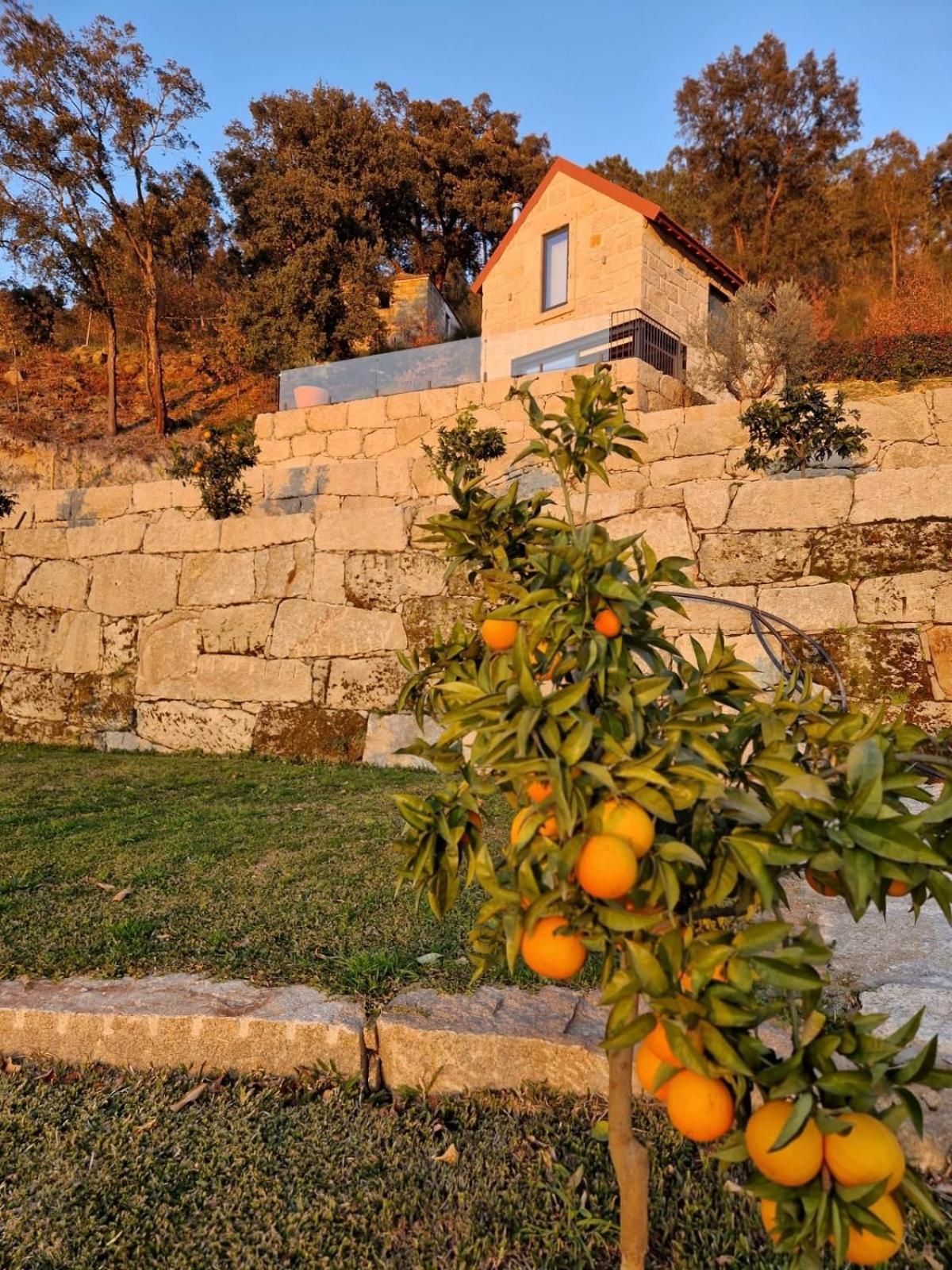 Javardo - Family House - Douro Penha Longa 外观 照片